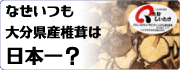 大分県産椎茸は日本一？