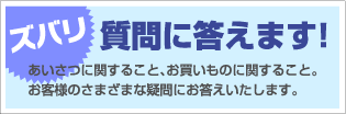 ズバリ質問に答えます！