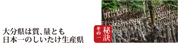 秘訣１　大分県は質、量とも日本一のしいたけ生産県